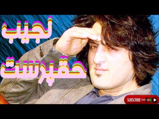Najib Haqparast - نجيب حقپرست - شيرين عمر چې تېرېږي