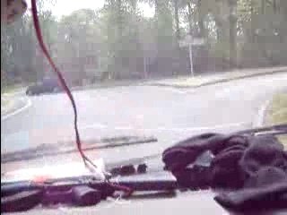 Les cosadingues en vadrouille