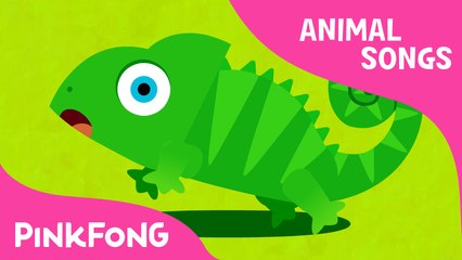 Hide ’n Seek | Animal Songs | PINKFONG Songs for Children