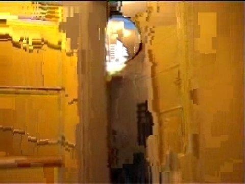 Rastaman chante les wriggles