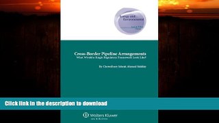 READ  Cross-Border Pipeline Arrangements: What would a Single Regulatory Framework look like?