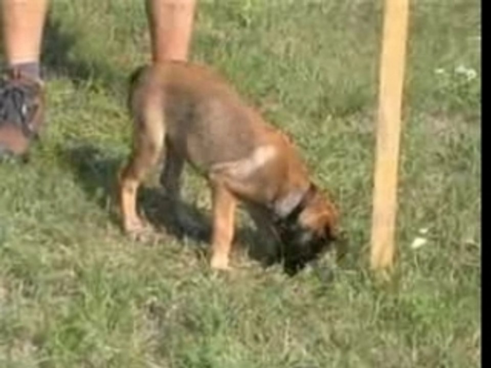 Be Aware AEON - Fährte