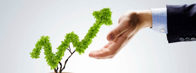 Làm thế nào để doanh nghiệp vực dậy khỏi "cửa tử"?