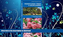 READ  Pennsylvania Trees   Wildflowers: A Folding Pocket Guide to Familiar Plants (Pocket