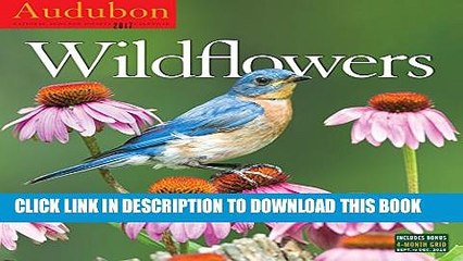 [PDF] Audubon Wildflowers Wall Calendar 2017 Popular Online[PDF] Audubon Wildflowers Wall Calendar