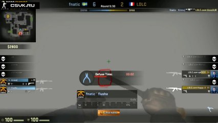 Top 10 Best Plays from Flusha #CSGO