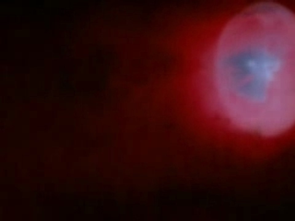 Moon In The Gutter - Thieves Like Us