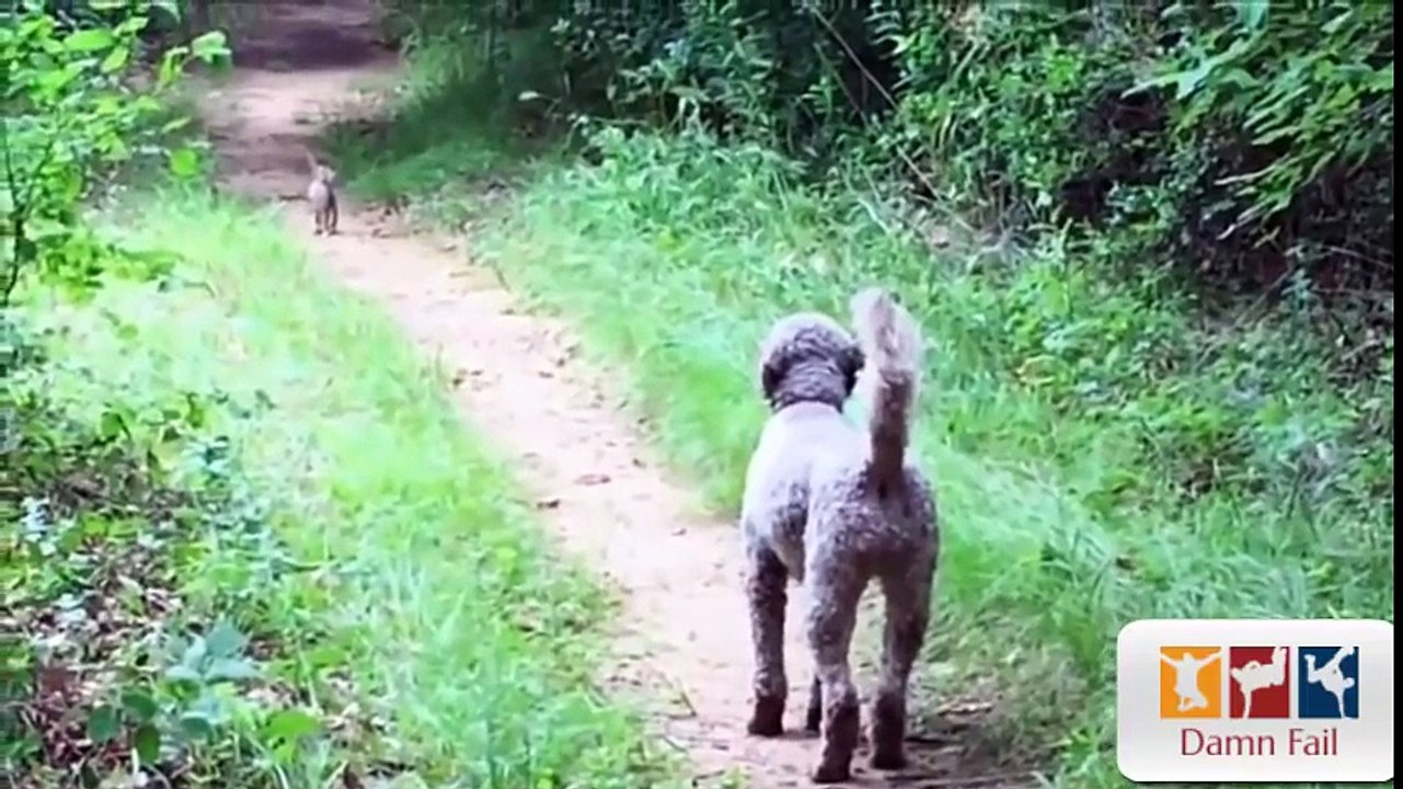 Best Epic Fails Compilation January 2016 - Week 3 #5 - Epic Fails 2016   Damn Fail