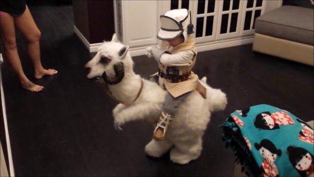 Meilleur déguisement Star Wars : un TaunTaun de Han Solo !! Empire contre-attaque