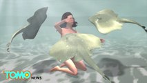 Ratu Ikan Pari menyelam telanjang dengan makhluk laut - Tomonews