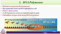 DNA Polymerase, Primer DNA, Primer in PCR, High Temperature