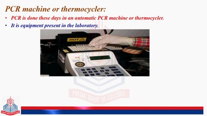 Thermocycler, Gene Cloning