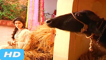 Kosi Punishes Shraddha | Thapki Pyaar Ki | 17th October 2016