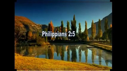 17 of 24  Perfect redemption Plan 5 Page 121 -140