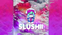 Zedd ft. Selena Gomez - I Want You To Know (Slushii Remix)