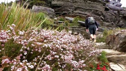 TRAVEL AUSTRALIA _ STIRLING RANGES Vlog 21 - Climbing 'Bluff Knoll'-y6frCDAcWc8