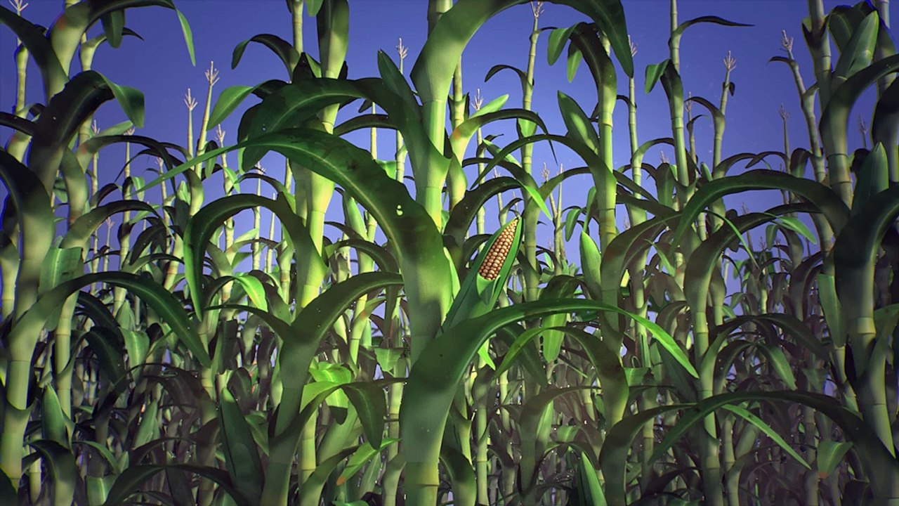 Palhik Mana - Objectif 3D