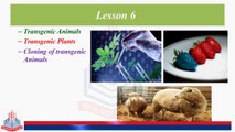 Transgenic Plants and Crops, Transgenic Plants Production, Uses, single Gene Transfers
