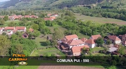 Puncte cardinale -  Comuna Pui - 590