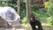 Zoo Animal Attacks ★ Animals That Don't Know What Glass Is! (HD) [Epic Laughs]-0CNwCJSBLuk