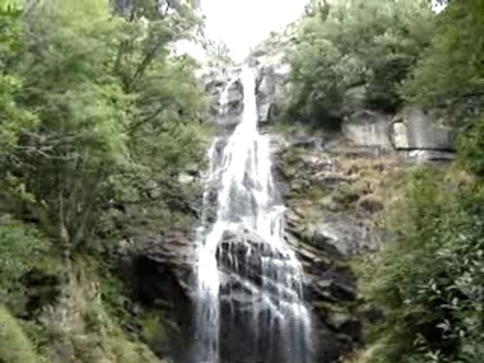 MOV02549