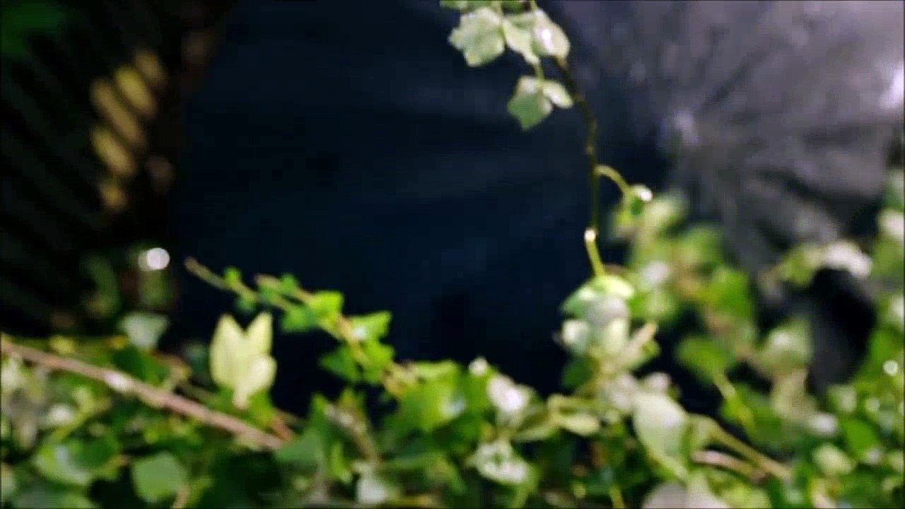 Aaron & Robert 17th October 2016 Part 1