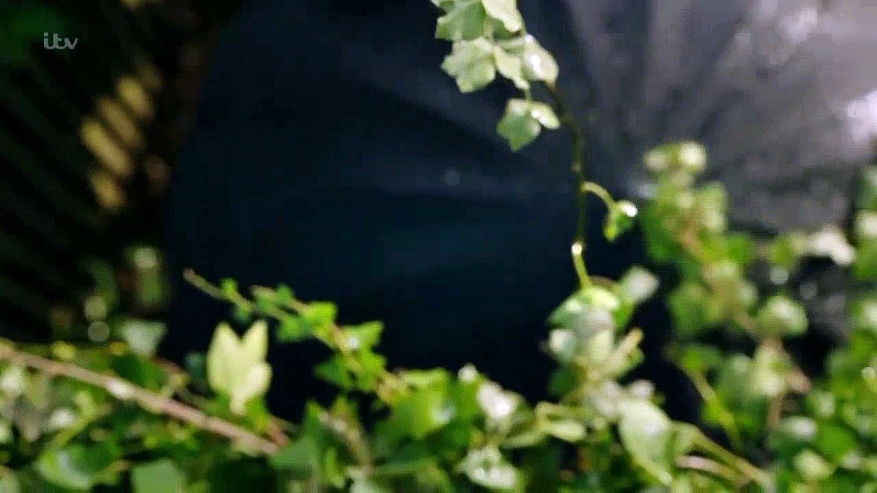 (631) Aaron & Robert 17th October 2016 Part 1 of 7