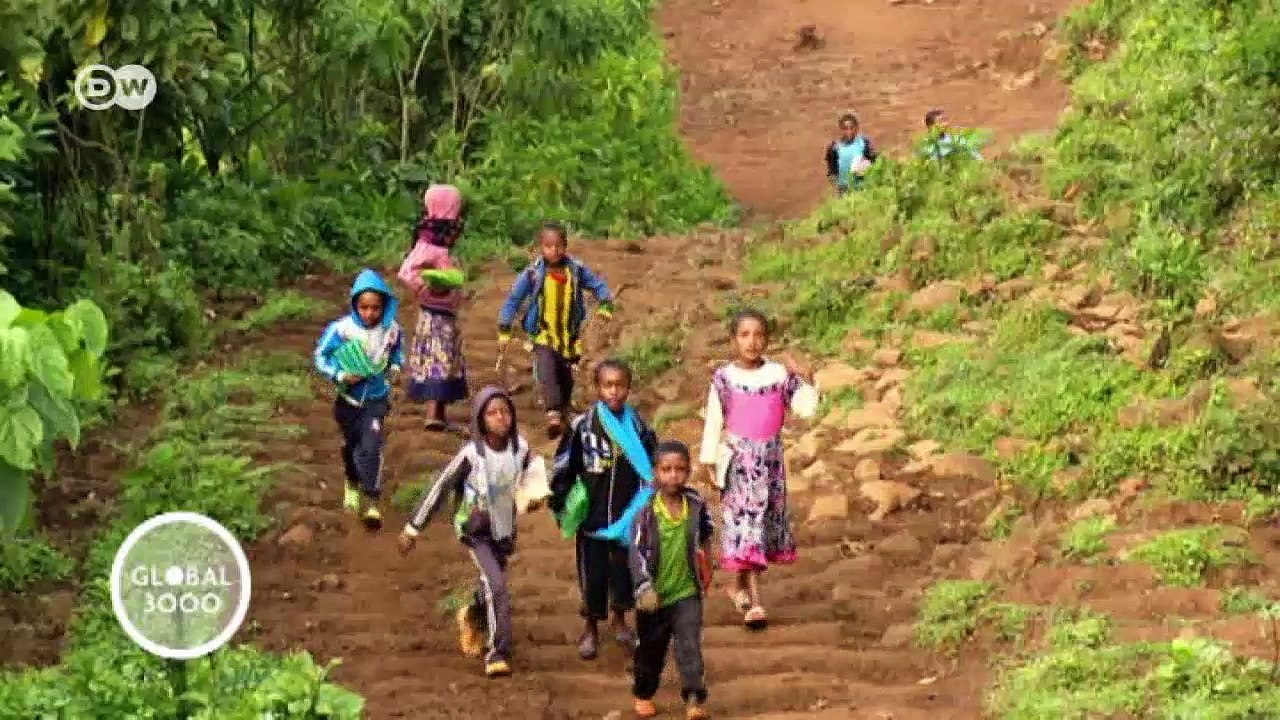 Didos, heilige Orte im Wald | Global 3000