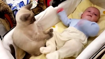 Cat calms baby