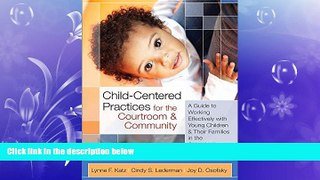 Free [PDF] Downlaod  Child-Centered Practices for the Courtroom and Community: A Guide to Working
