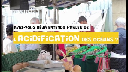 Questions Acides - Alice Lapijover