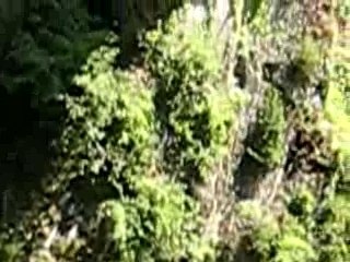 saut philippe pont napoleon