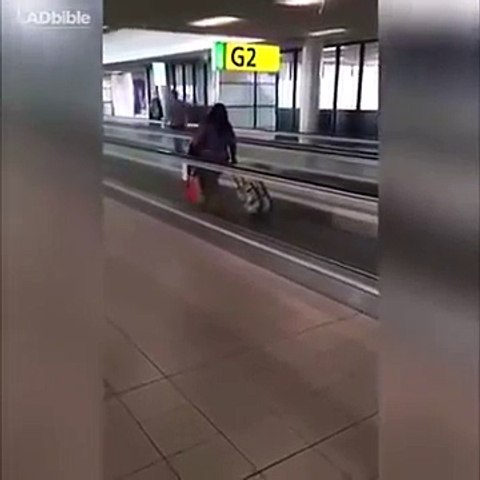 Elle prend le tapis roulant de l'aéroport à contresens sans s'en apercevoir  - Vidéo Dailymotion