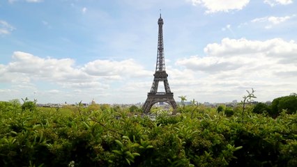 Chanel : CULTURE CHANEL Exhibition, La Donna Che Legge - Le voyage d'une oeuvre