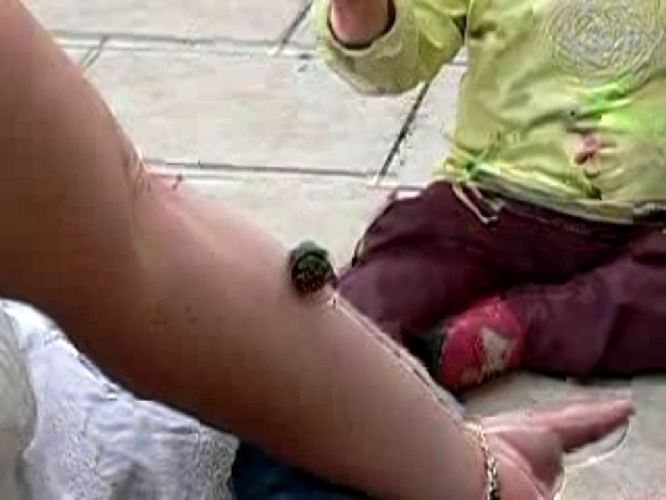 Madeleine et les escargots