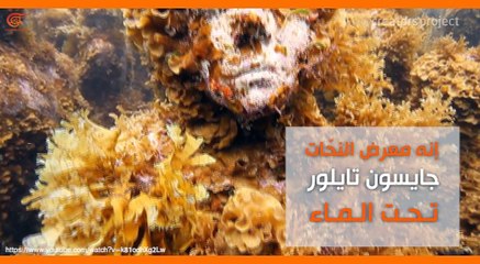 فيديو ماذا ولماذا: تماثيل تحت الماء