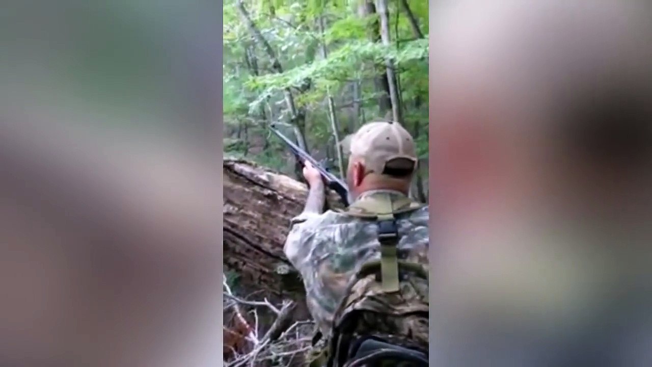 Urso Volta Dos Mortos Para Acertar Contas Com Caçador!