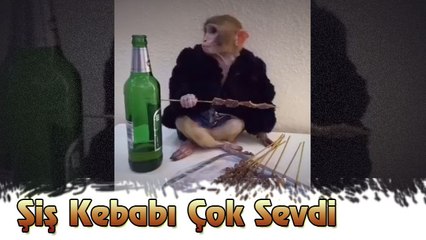 Maymun Şiş Kebabı Çok Sevdi