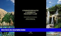 Big Deals  Commonwealth Caribbean Property Law  Best Seller Books Most Wanted