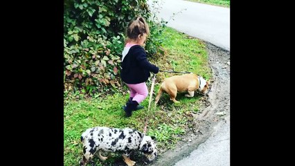 Little girl preciously walks pair of dogs