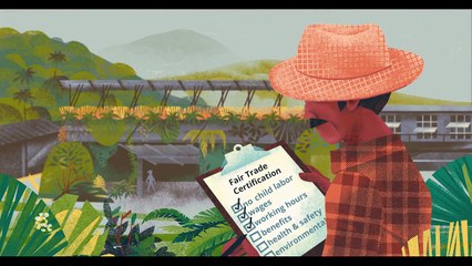 Patagonia Debuts New Short Film on Fair Trade Apparel | Fair Trade USA