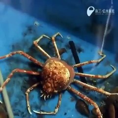 Hayvanların kabuk değiştirme olayı