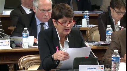 Christine RENAUDIN-JACQUES. Mineurs non-accompagnés. 17 octobre 2016