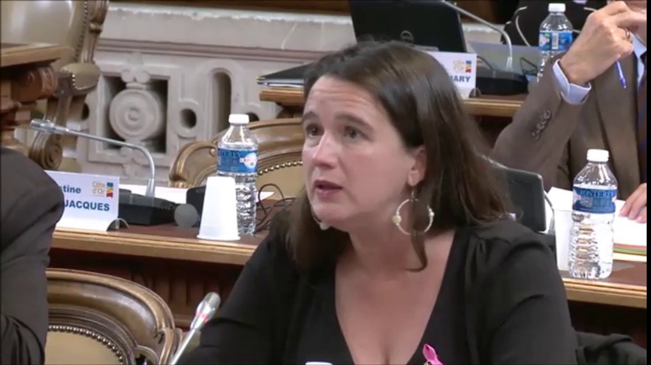 Céline MAGLICA. Expérimentation territoriale contre le chômage de longue durée. 17 octobre 2016