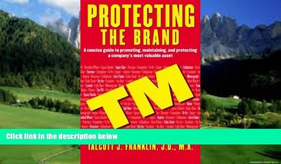 Big Deals  Protecting the Brand: A Concise Guide to Promoting, Maintaing, and Protecting a Company