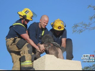 Tucson Fire crews rescue man from chimney