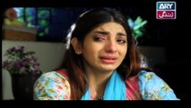 Mere Baba ki Ounchi Haveli - Ep 24 - on Ary Zindagi in High Quality 17th October 2016