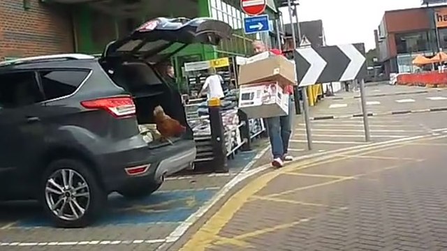 Un passager clandestin pas comme les autres