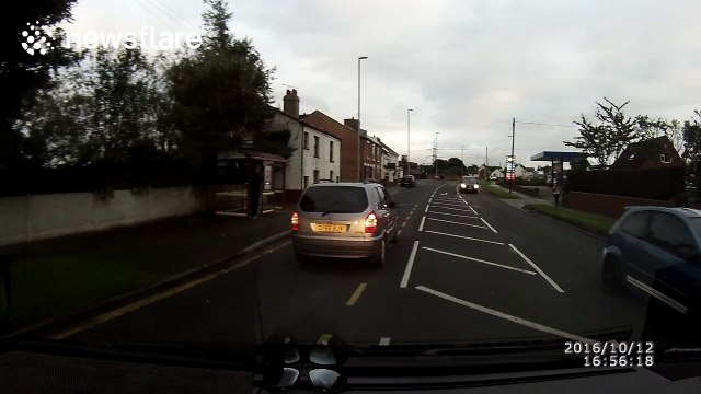 Horse throws rider off on road and runs away