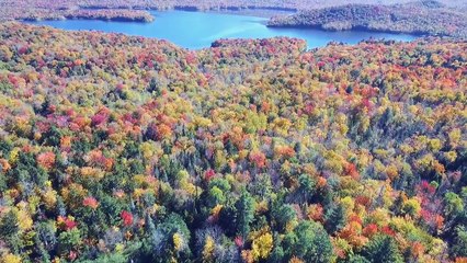 Green Mountain Views